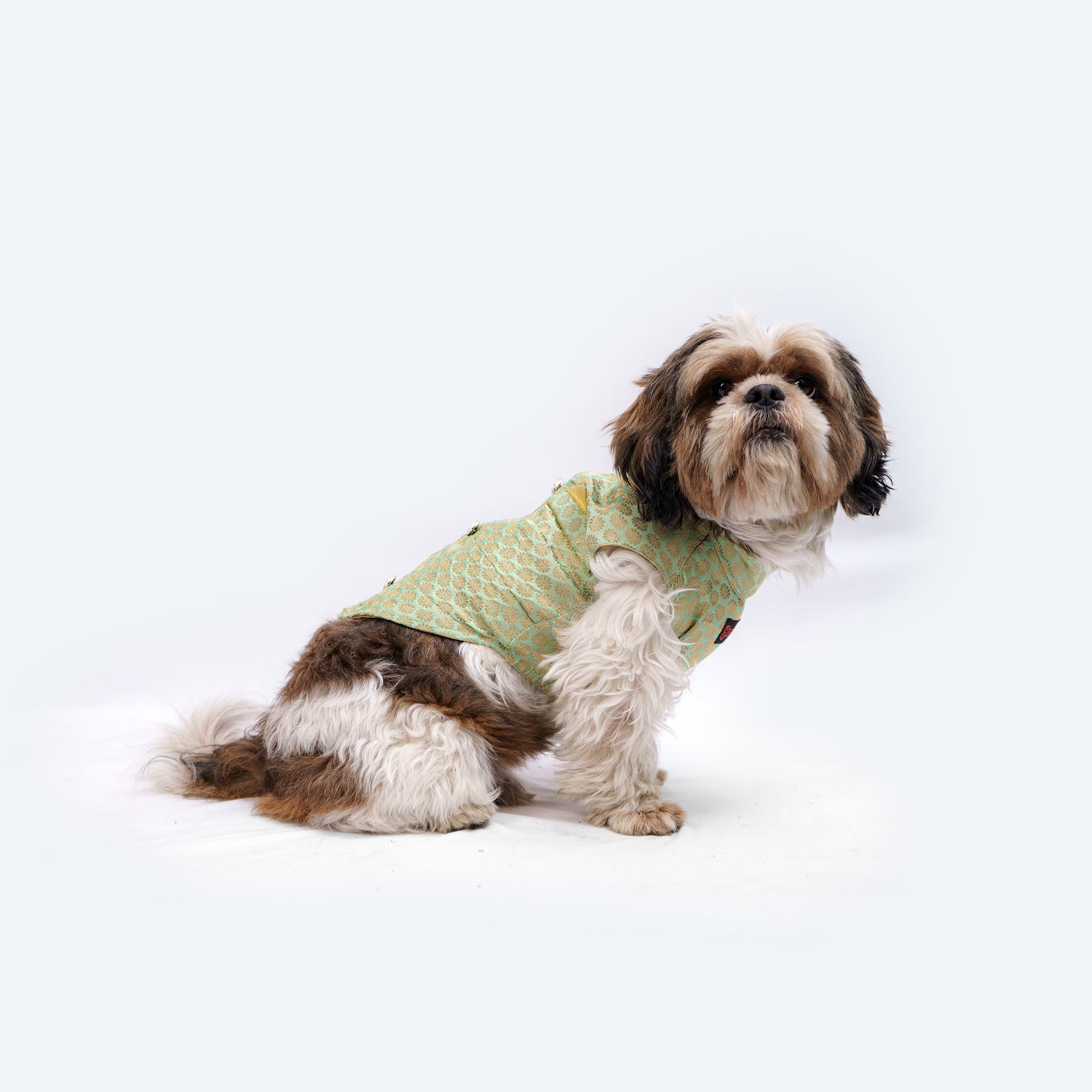 Pawgy Pets Sherwani Pista Green for Dogs