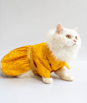 Pawgy Pets Occasion wear Dress Yellow: Cat