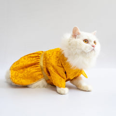 Pawgy Pets Occasion wear Dress Yellow: Cat