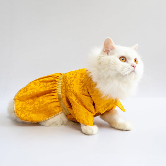 Pawgy Pets Occasion wear Dress Yellow: Cat