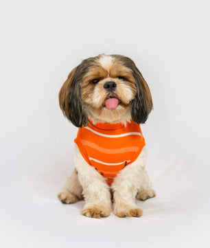 Summer Tshirt: Orange