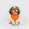 Summer T-shirt | Orange | For Dogs | Pawgy Pets