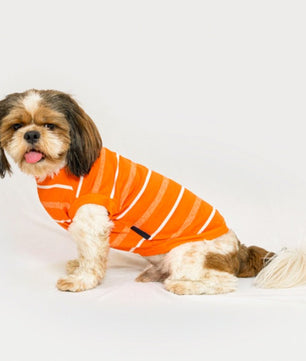 Summer Tshirt: Orange
