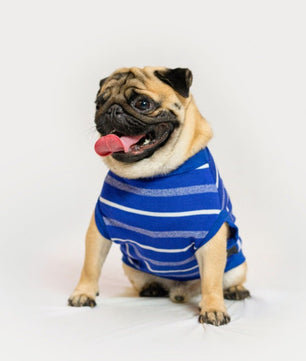Summer Tshirt: Blue