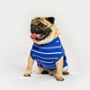Summer T-shirt | Blue | For Dogs | Pawgy Pets