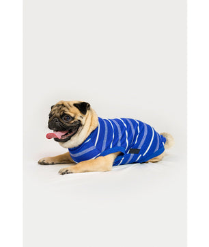 Summer Tshirt: Blue
