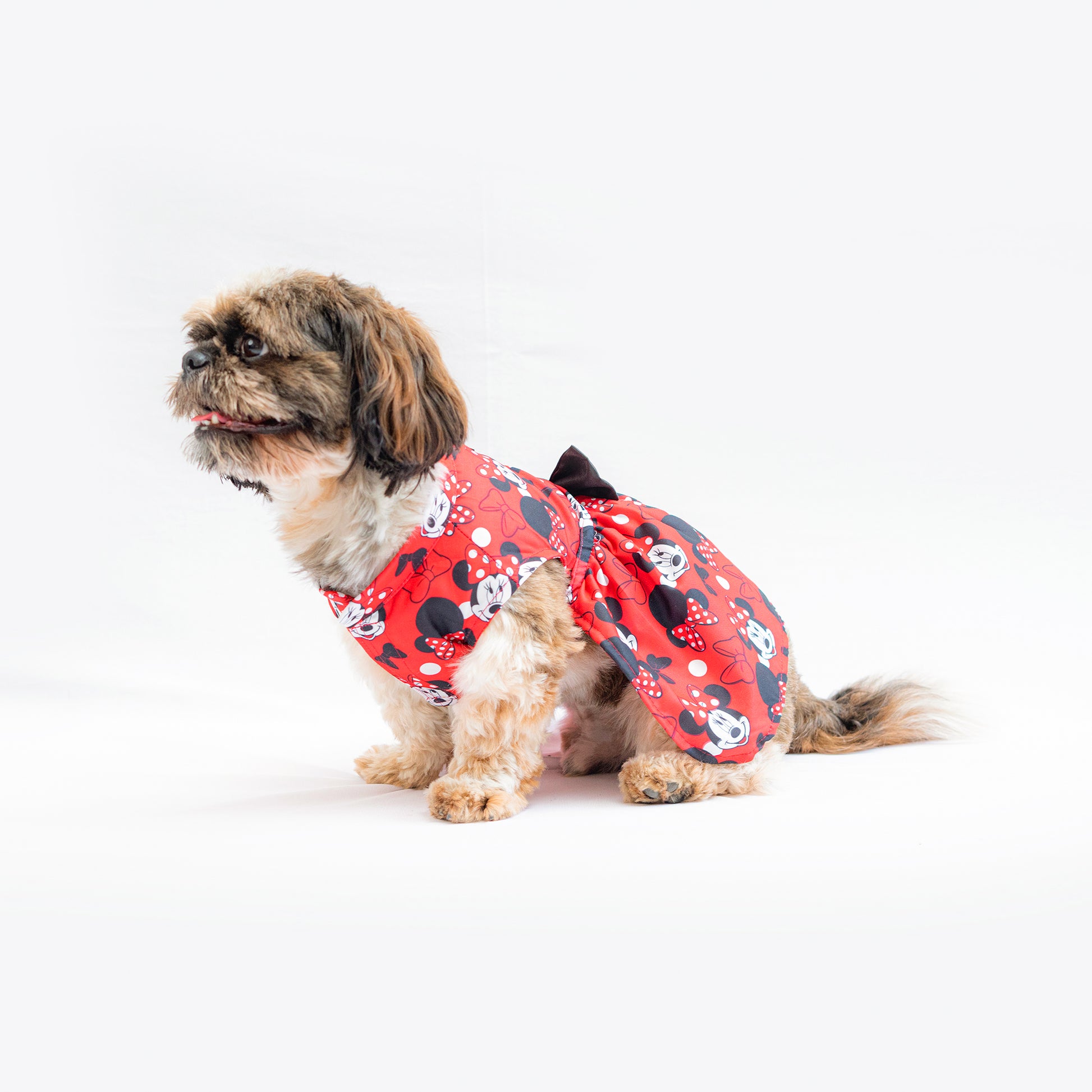 Pawgy Pets Mickey Red Dress for Dogs