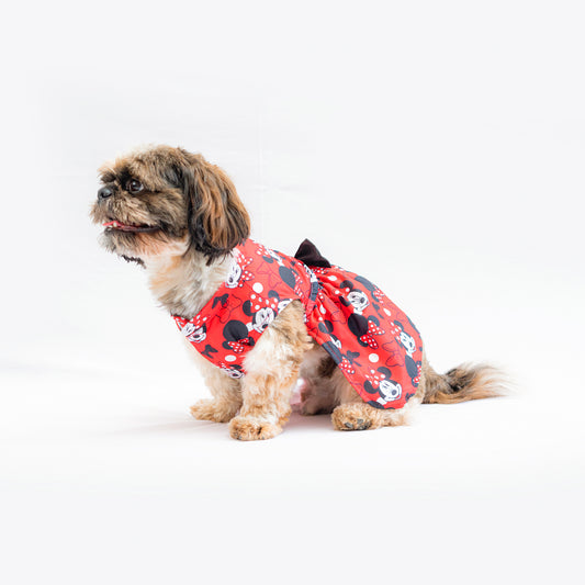 Pawgy Pets Mickey Red Dress for Dogs