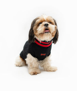 Pawgy Pets High Neck Cable Knit Sweater: Black for Dogs & Cats