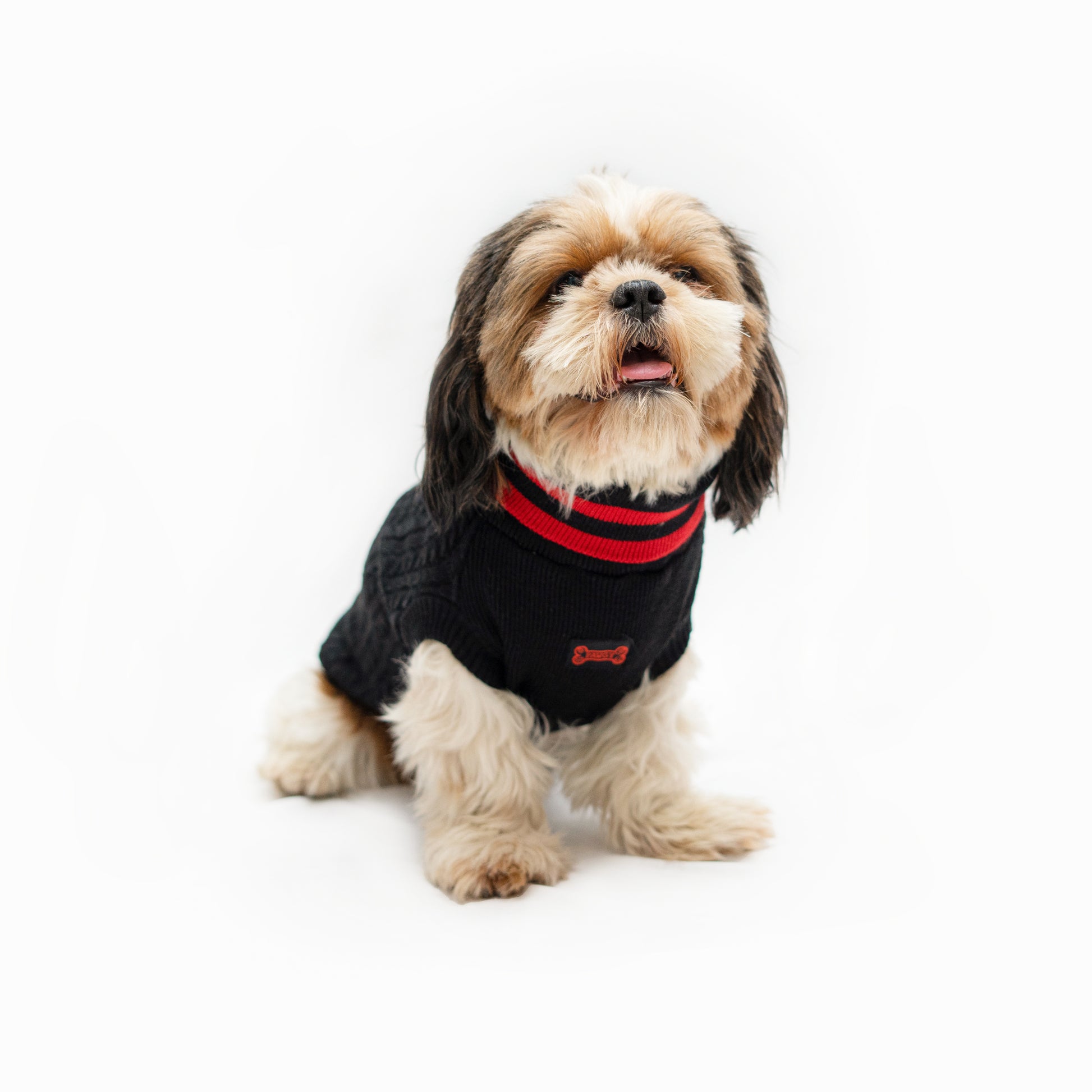 Pawgy Pets High Neck Cable Knit Sweater: Black for Dogs & Cats