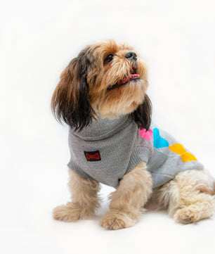 Pawgy Pets High Neck Sweater: Grey for dogs & cats
