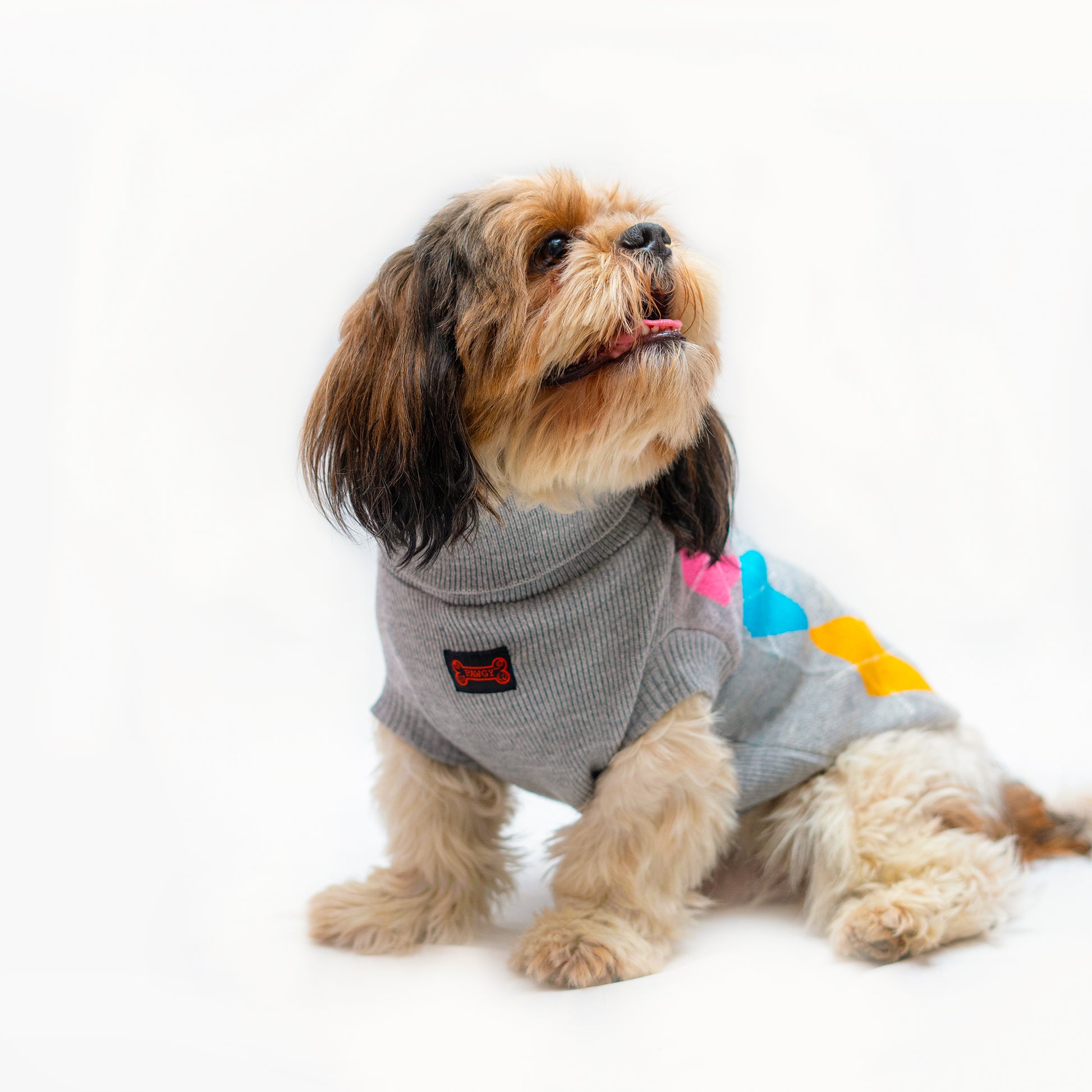 Pawgy Pets High Neck Sweater: Grey for dogs & cats