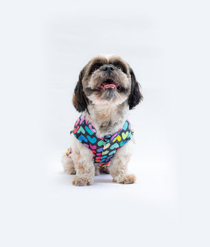 Pawgy Pets Multi heart Sando for Dogs