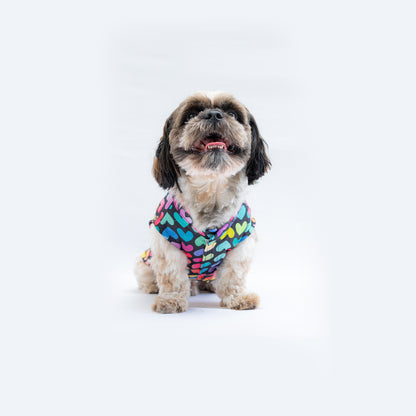 Multi Heart Sando | For Dogs | Pawgy Pets