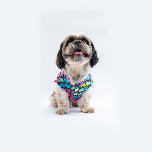 Pawgy Pets Multi heart Sando for Dogs