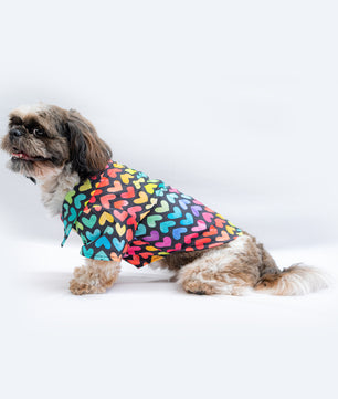 Pawgy Pets Multi heart Shirt for Dogs