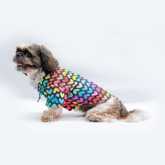 Pawgy Pets Multi heart Shirt for Dogs