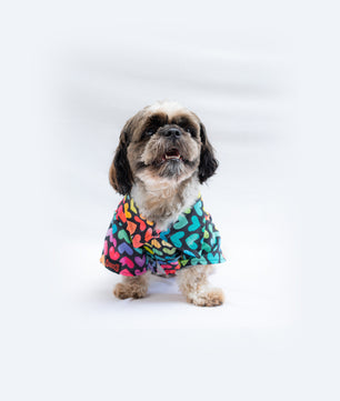 Pawgy Pets Multi heart Shirt for Dogs