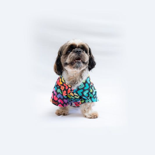 Pawgy Pets Multi heart Shirt for Dogs