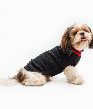 Pawgy Pets High Neck Cable Knit Sweater: Black for Dogs & Cats