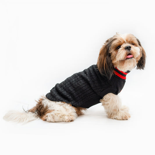 Pawgy Pets High Neck Cable Knit Sweater: Black for Dogs & Cats