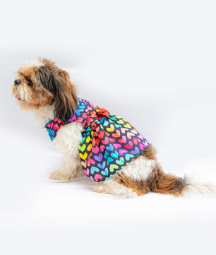 Pawgy Pets Multi heart Dress for Dogs