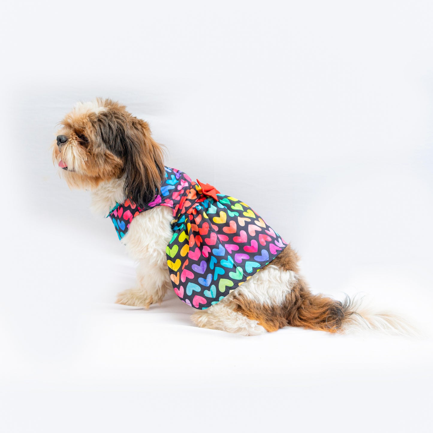 Multi Heart Dress | For Dogs | Pawgy Pets
