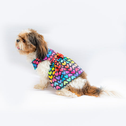 Pawgy Pets Multi heart Dress for Dogs
