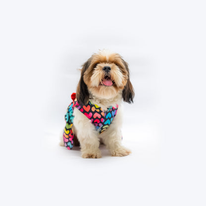 Multi Heart Dress | For Dogs | Pawgy Pets