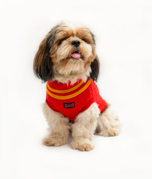 Pawgy Pets High Neck Cable Knit Sweater: Red for dogs & cats
