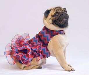 Pawgy Pets Frilly Dress Blue for Dogs