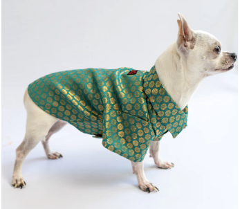 Pawgy Pets Occasion wear shirt Teal Blue for Dogs