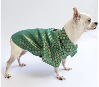 Pawgy Pets Occasion wear shirt Teal for Dogs