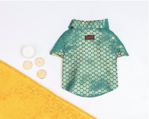 Pawgy Pets Occasion wear shirt Teal for Dogs
