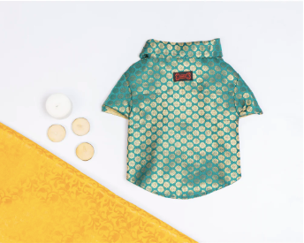 Pawgy Pets Occasion wear shirt Teal for Dogs