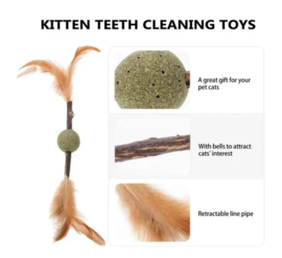 Pawgy Pets Sticks Catnip Toy-Interactive Chewing&Teething Toy For Indoor Cats-Suitable For Kittens&Aggressive Chewers Of All Feline Breeds.