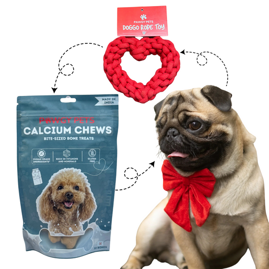 Pawgy Pets Valentine Cupid hamper for Dog and Cats