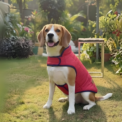Red & Green Reversible Puffer Jacket | For Dogs & Cats | Pawgy Pets