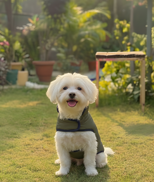 Pawgy Pets Reversible Puffer Jacket Red & Green