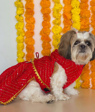 Red Velvet Lehenga