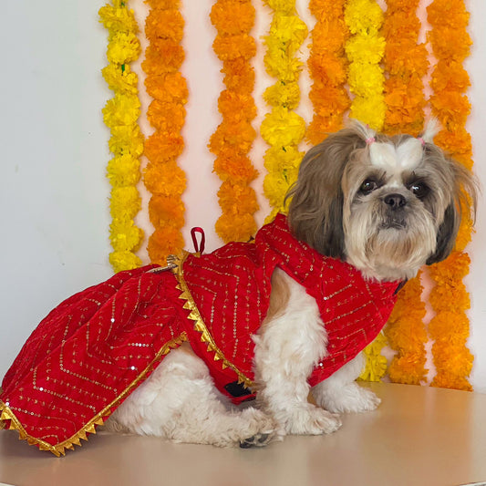 Red Velvet Lehenga