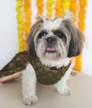 Pawgy Pets Green Brocade Lehenga for Dogs & Cats