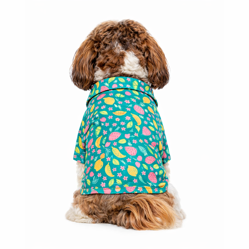 Fruity Shirt | Green | For Dogs | Pawgy Pets