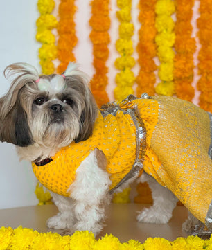 Pawgy Pets Pleaty Yellow Lehenga for Dogs & Cats