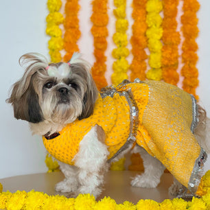 Pawgy Pets Pleaty Yellow Lehenga for Dogs & Cats