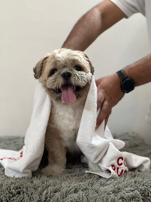 Pawgy Pets Personalised Pet Towel: White for Dogs & Cats