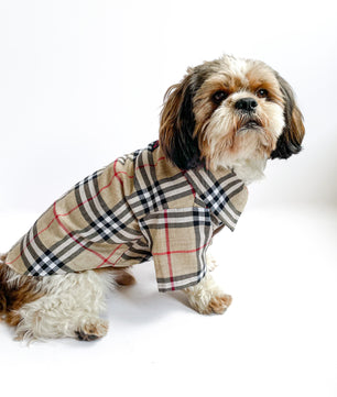 Pawgy Pets Beige Checks Shirt/Sando for Dogs