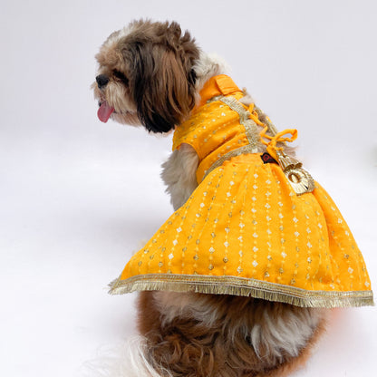 Pawgy Pets Yellow Festive Lehenga for Dogs & Cats