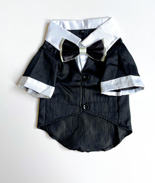 Pawgy Pets Tuxedo: Black for Dogs & Cats