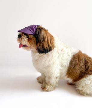 Pawgy Pets Waterproof Dog Cap: Purple for Dog & Cats